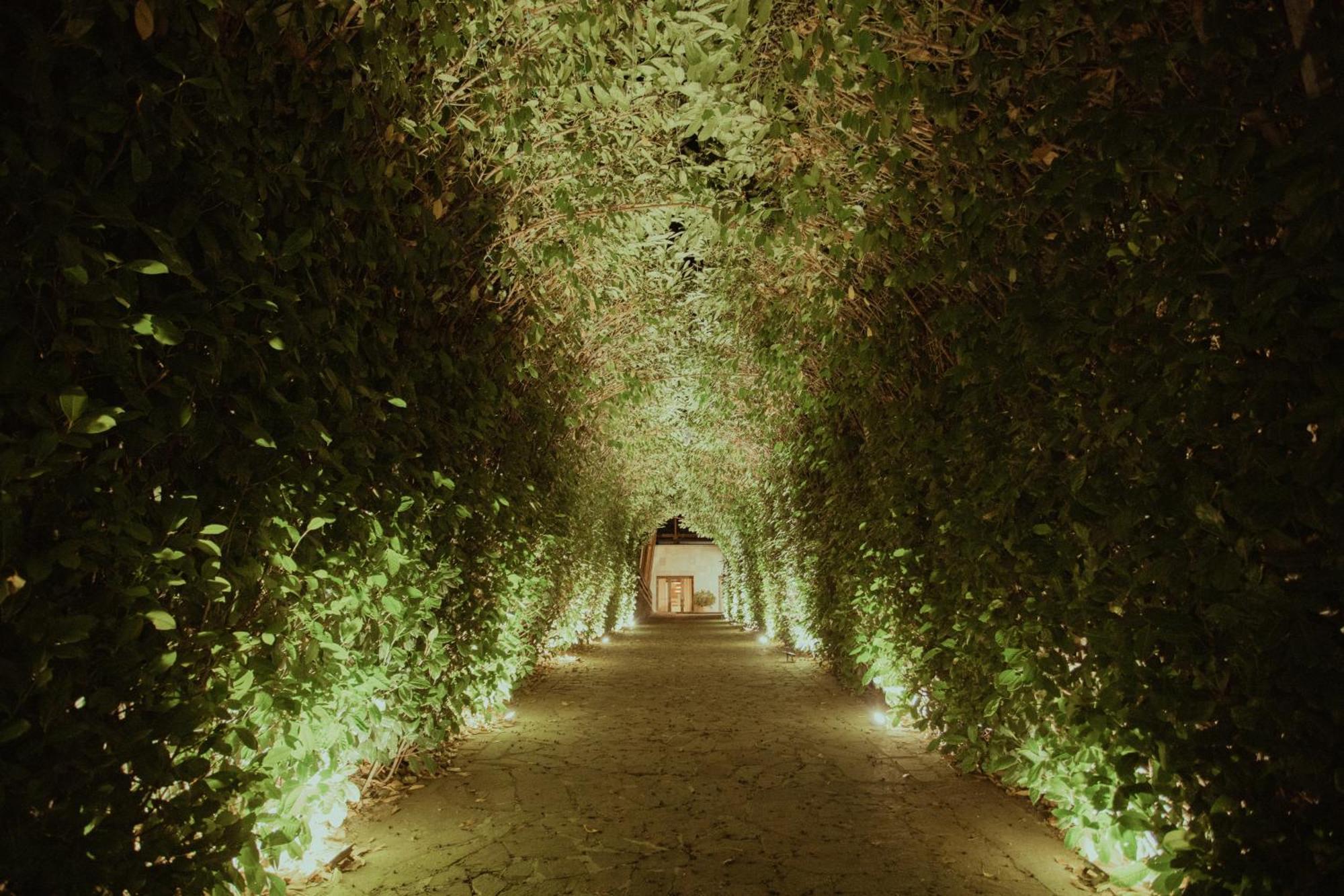 Sotto Il Cielo Hotel Pignola Buitenkant foto