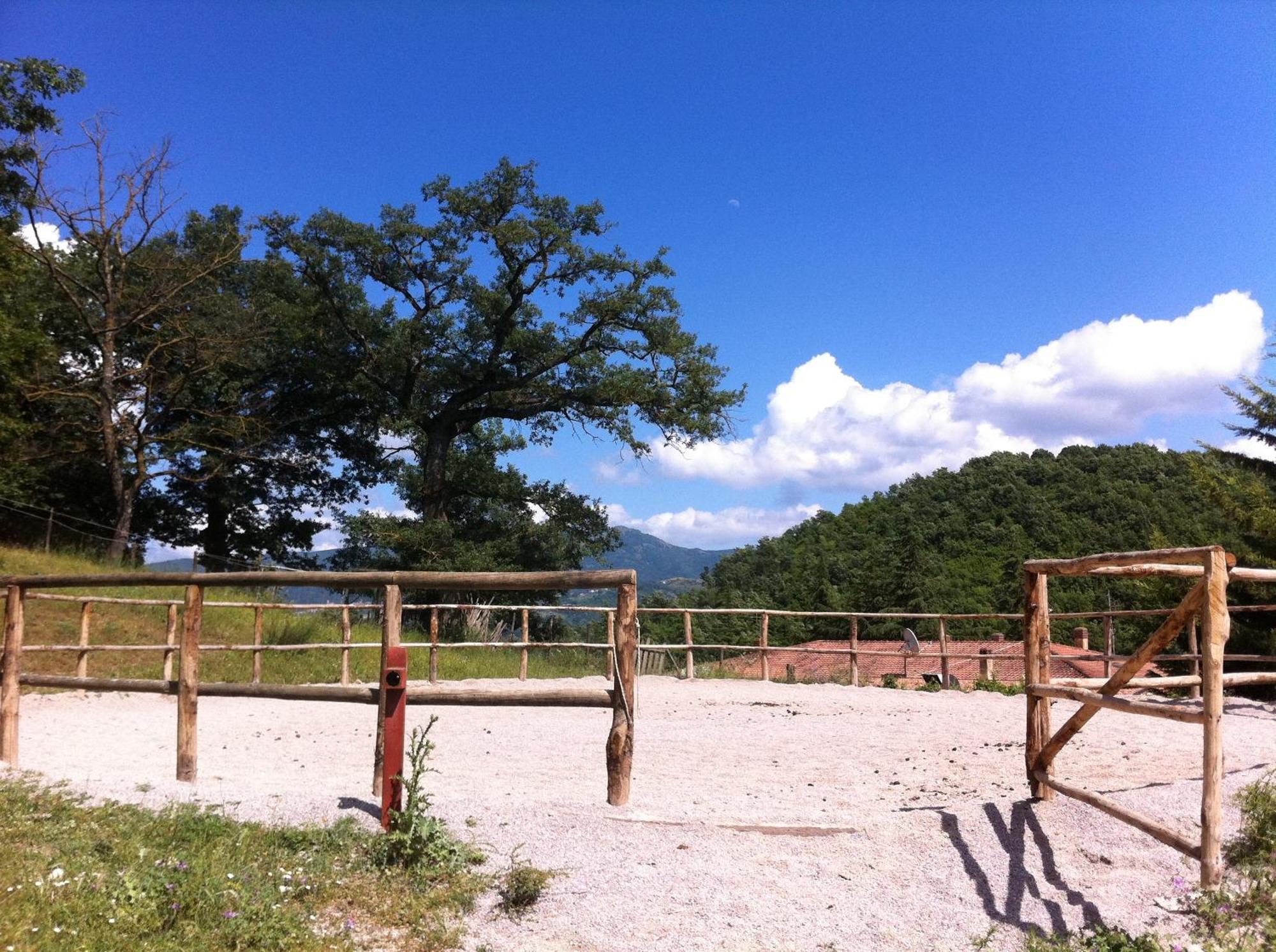 Sotto Il Cielo Hotel Pignola Buitenkant foto